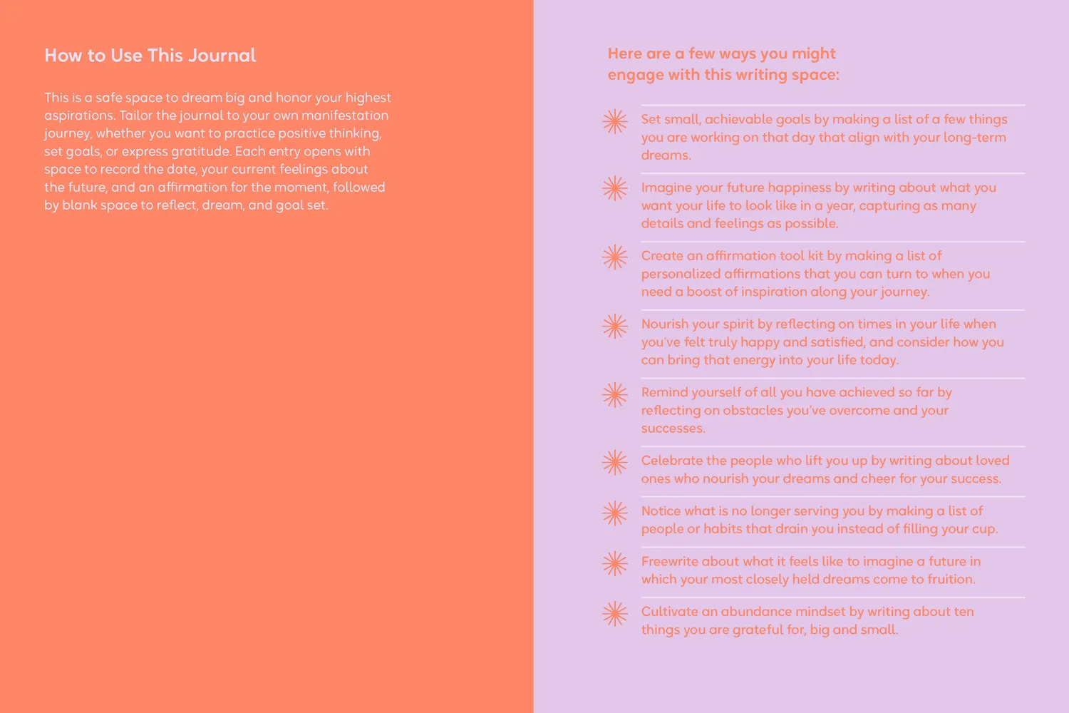 Abrams and Chronicle Manifest That Sh*t dagbok journal