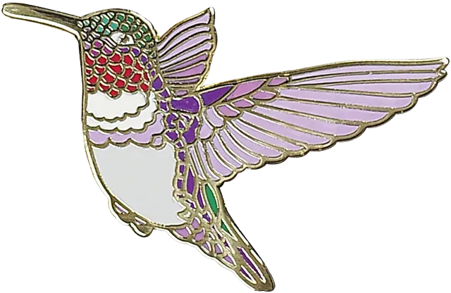 Peter Pauper Press Hummingbird emaljepin kolibri gaveeske