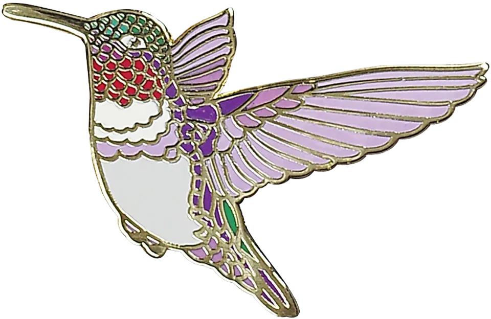 Peter Pauper Press Hummingbird emaljepin kolibri gaveeske