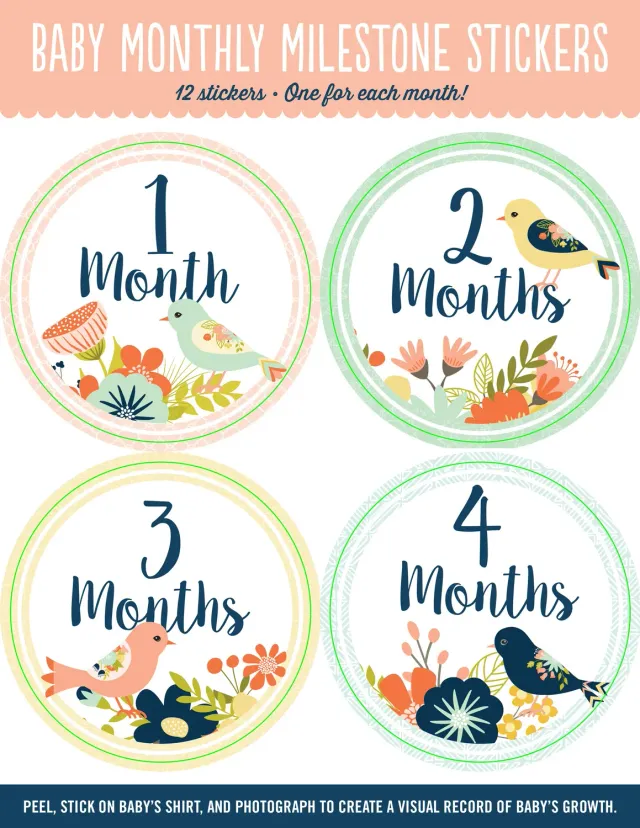 Peter Pauper Press Baby Monthly Milestone Stickers klistremerker fugl 12 stk