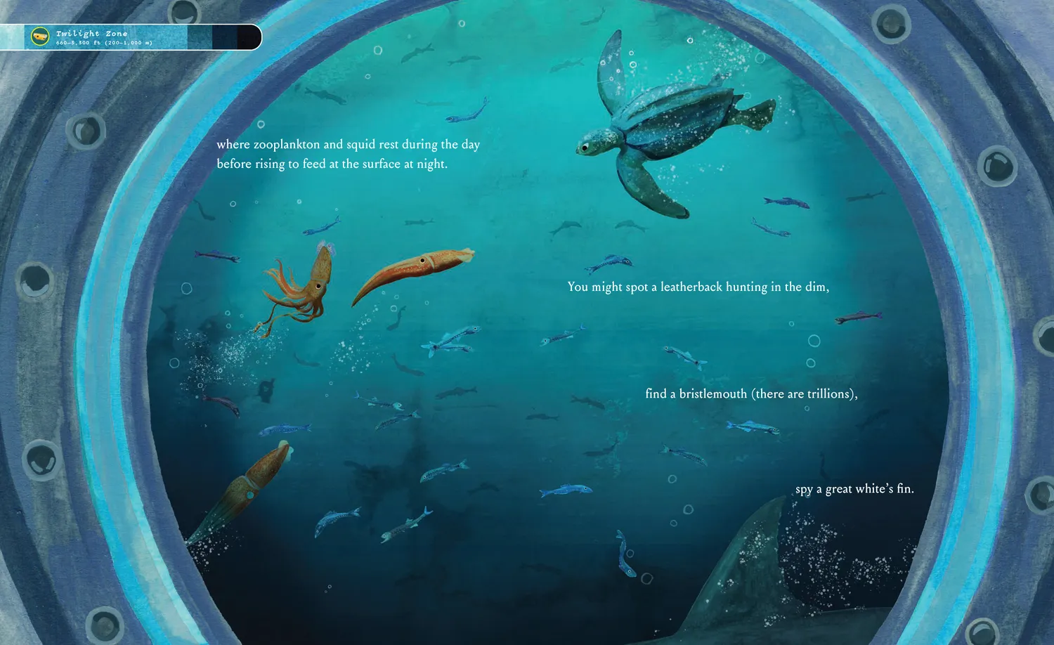 Abrams and Chronicle Bottom of the Ocean barnebok innbundet