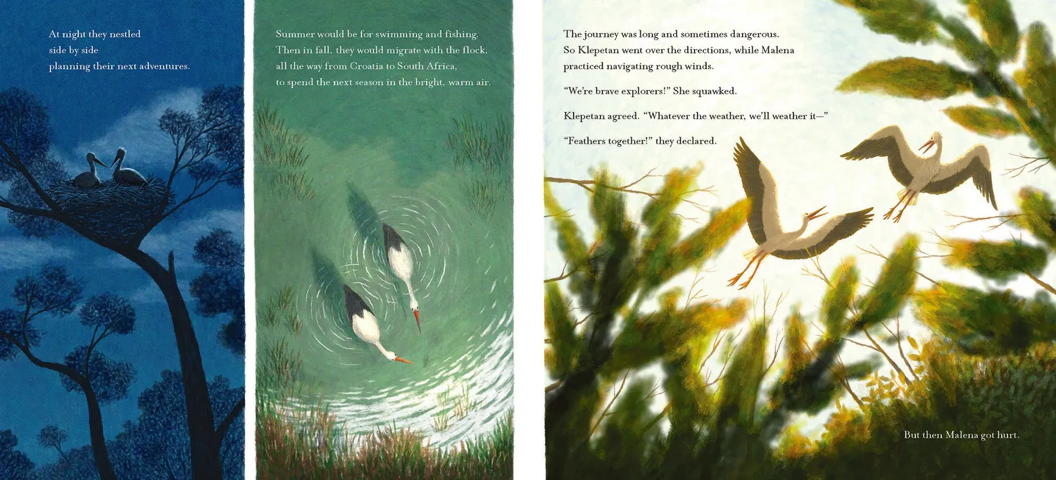 Abrams Feathers Together bildebok innbundet 4–8 år