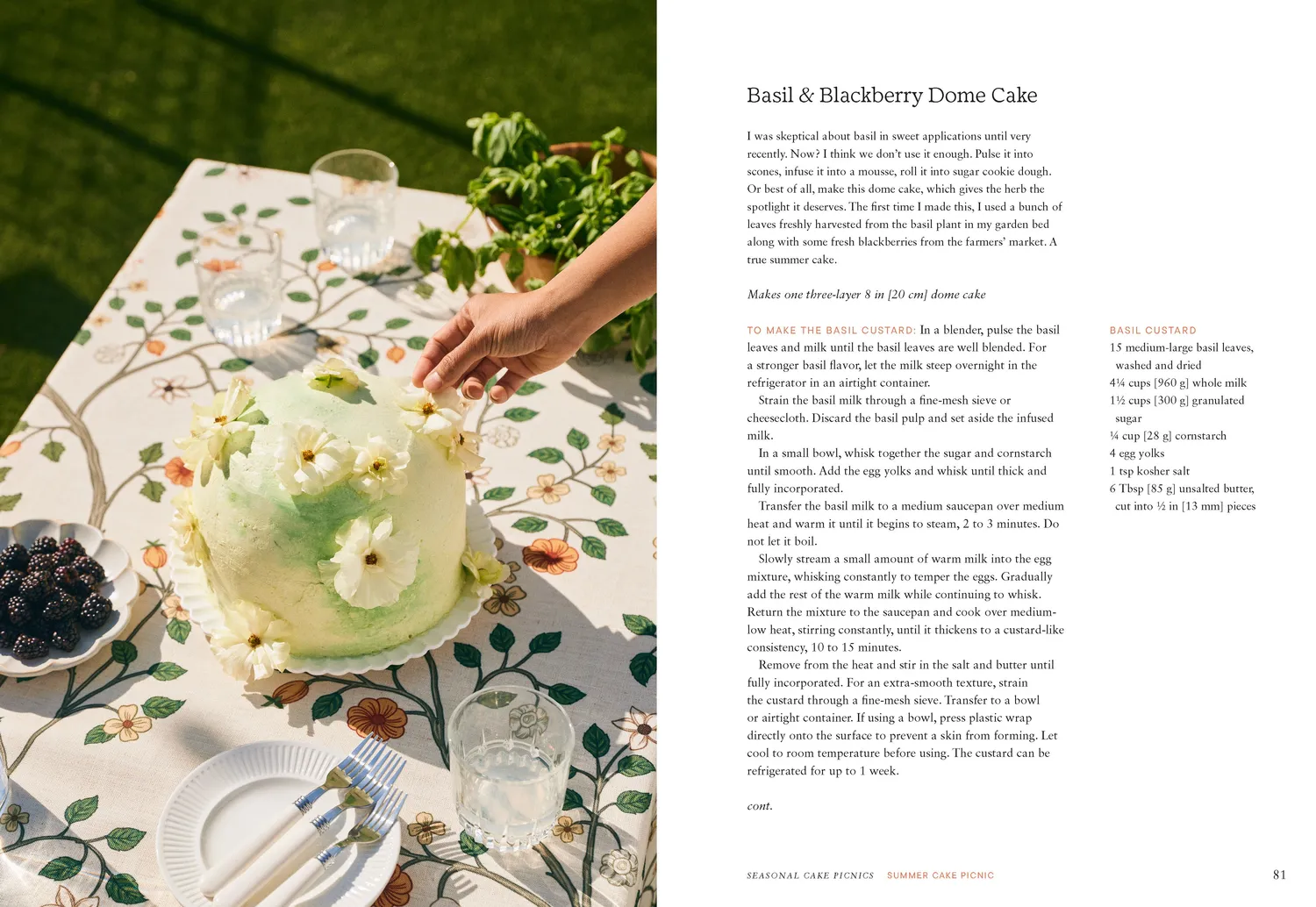 Abrams & Chronicle Cake Picnic kokebok innbundet 50 oppskrifter