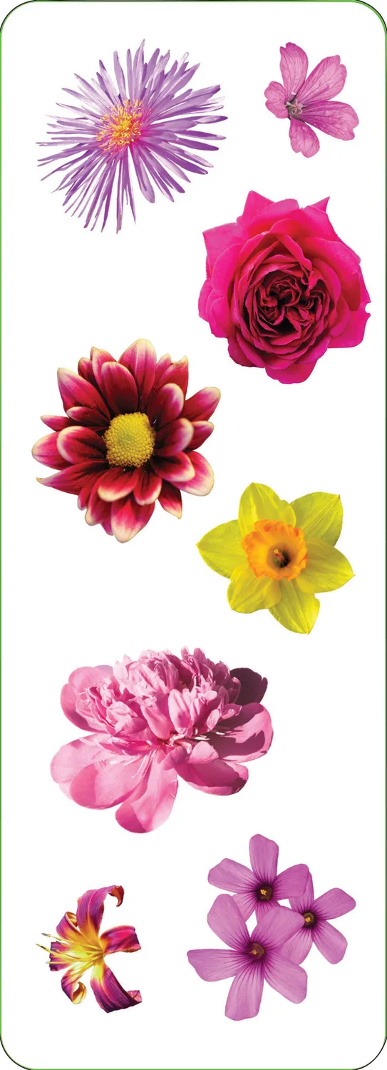 Peter Pauper Press Flowers klistremerker 52-pk holografisk