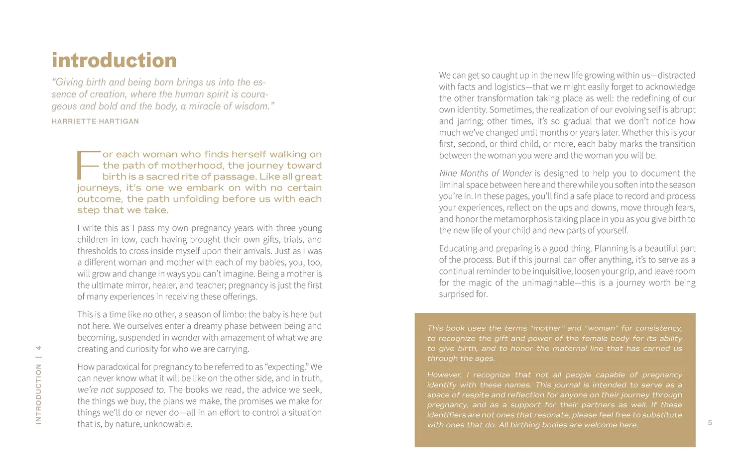 9 Months of Wonder gravid dagbok journal mor