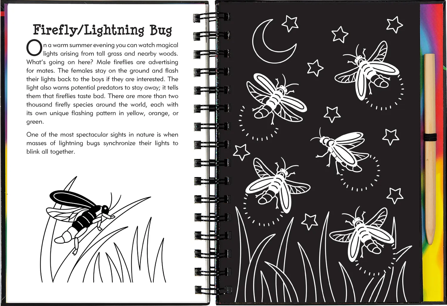Scratch and Sketch Nocturnal Animals skrapebok barn