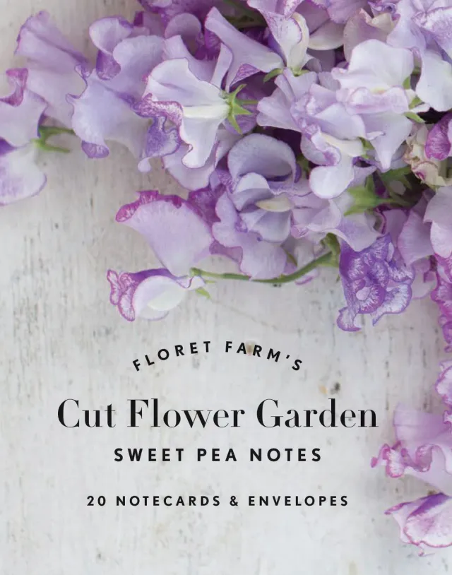 Abrams and Chronicle Floret Sweet Pea Notes kort 20 stk blomster