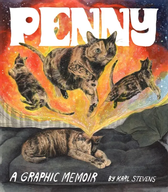 Karl Stevens Penny Graphic Memoir pocket katt