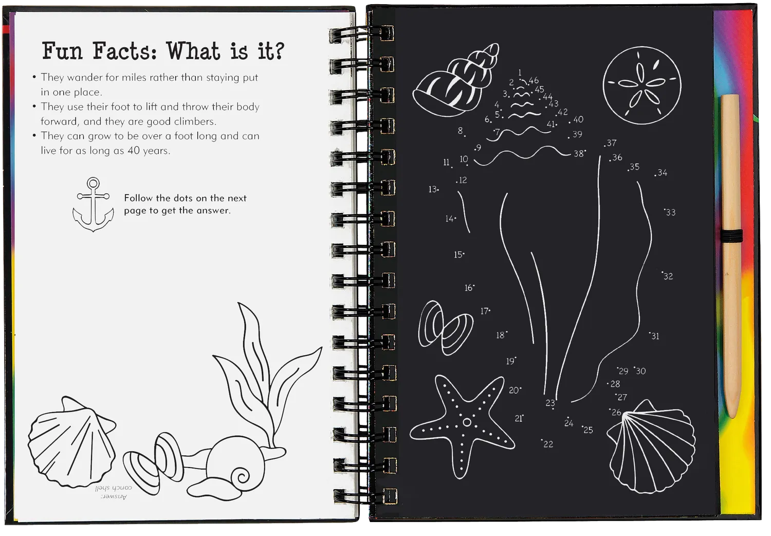 Peter Pauper Press Scratch and Sketch Ocean World skrapebok hav