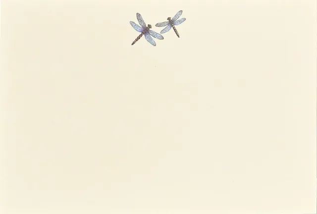 Peter Pauper Press Blue Dragonflies korrespondansekort 25 stk