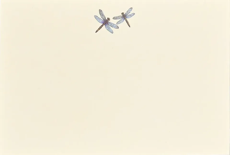 Peter Pauper Press Blue Dragonflies korrespondansekort 25 stk