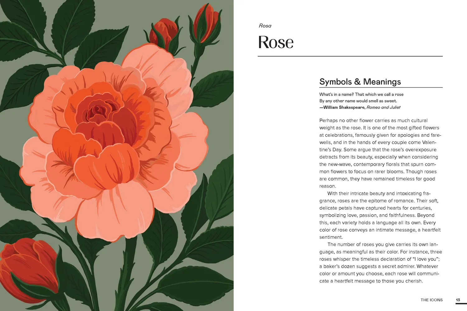 Floraphile Almanac blomsterbok innbundet 50 arter