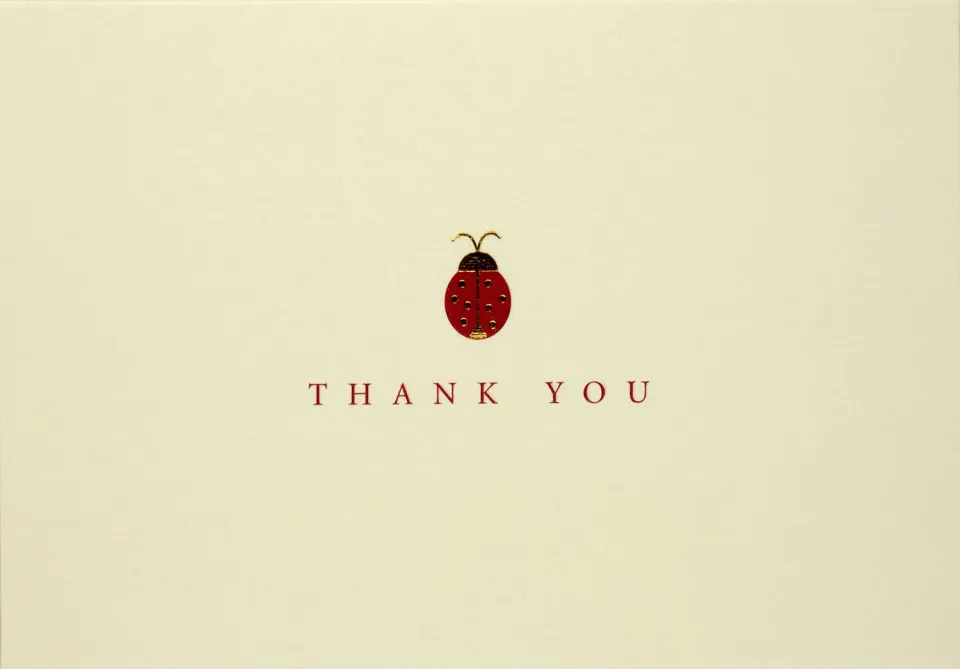 Peter Pauper Press Ladybug Thank You takkekort 14-pakning
