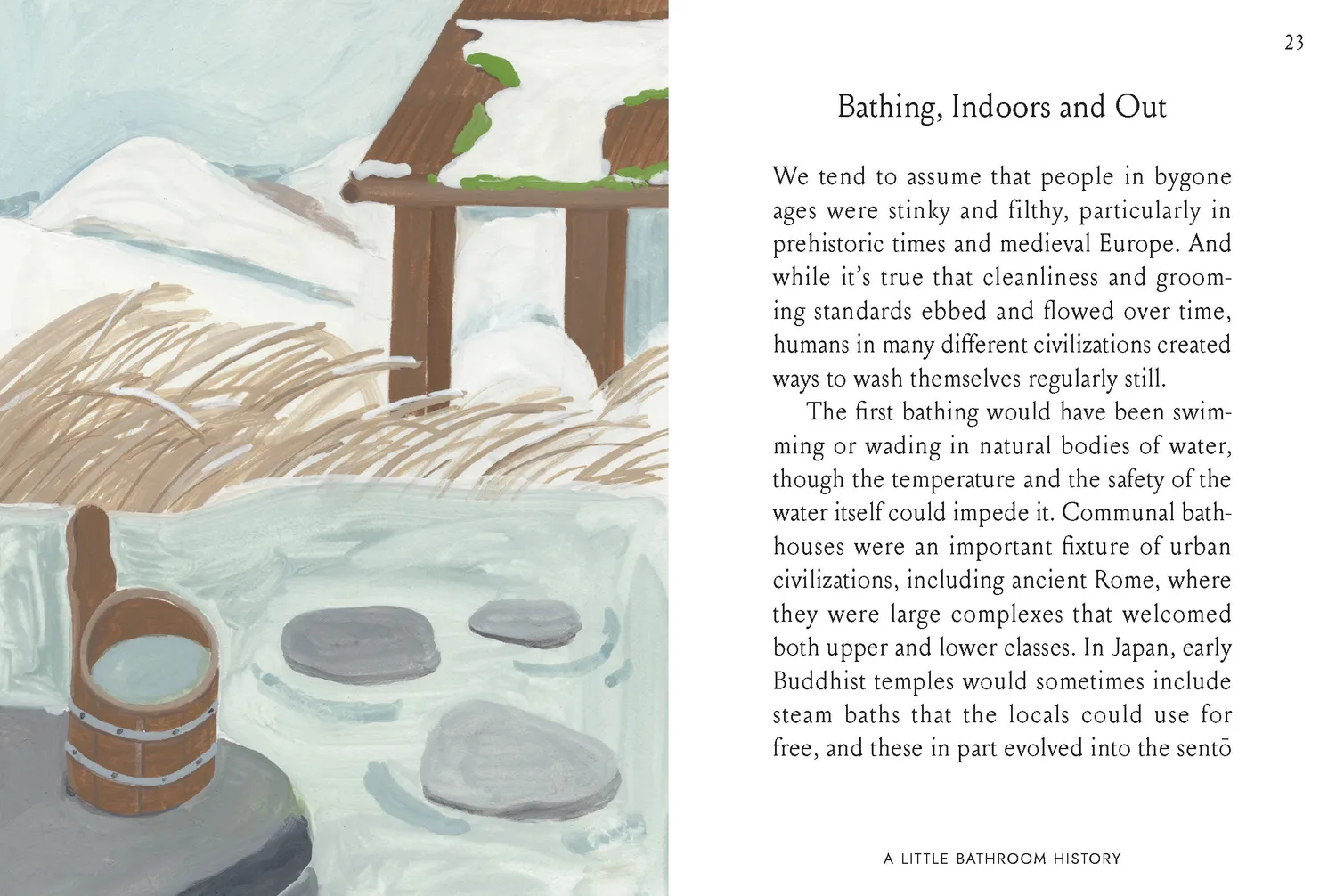 Abrams and Chronicle Petite Housekeeping Bathrooms bok baderom