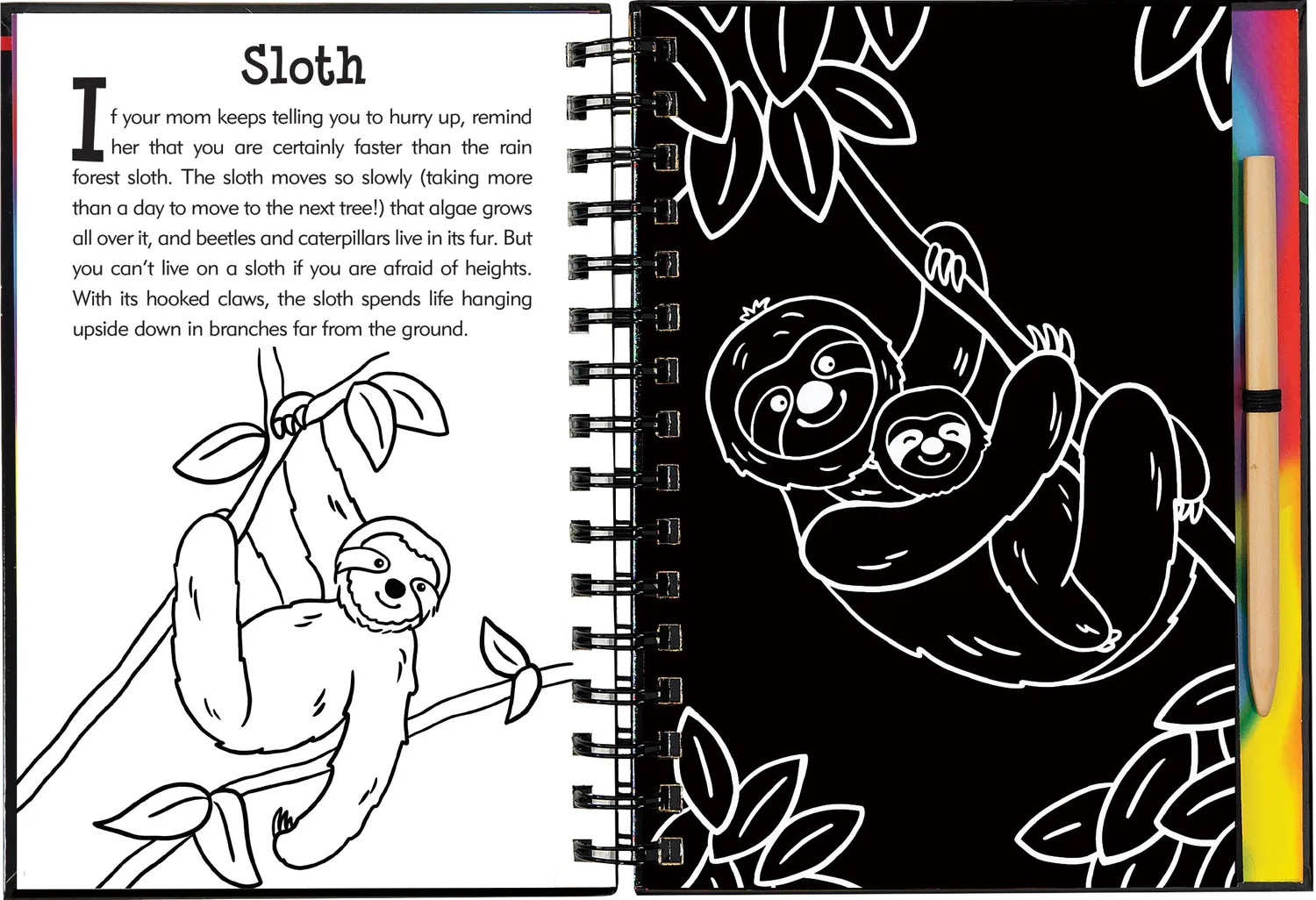 Peter Pauper Press Scratch and Sketch Rain Forest skrapebok