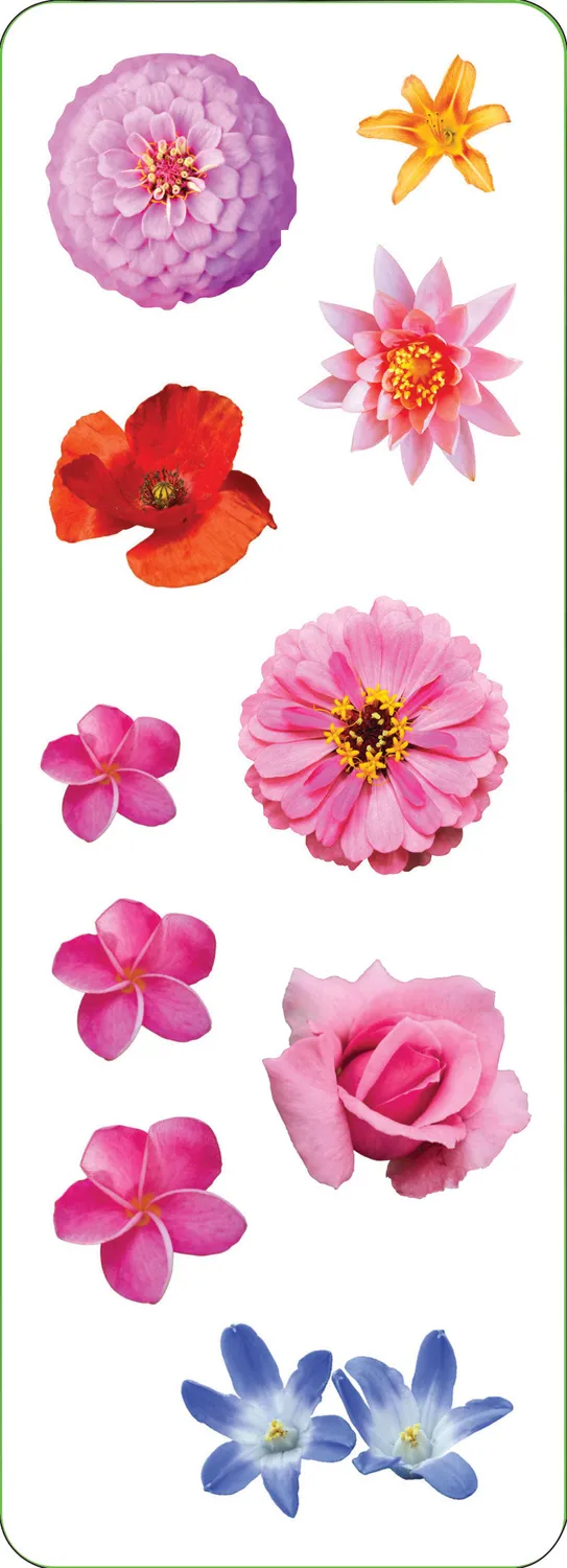 Peter Pauper Press Flowers klistremerker 52-pk holografisk