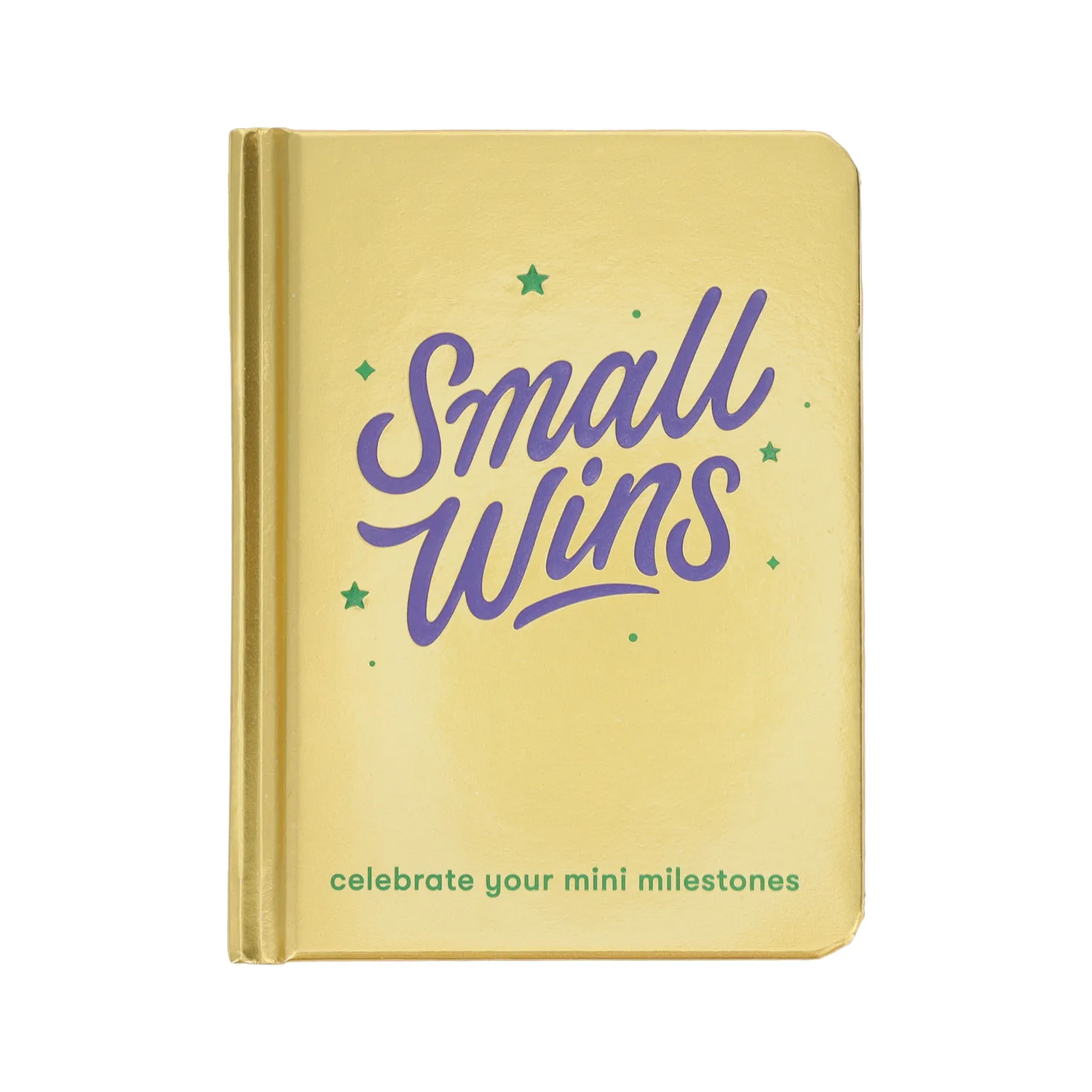 Abrams and Chronicle Small Wins journal dagbok miniseire