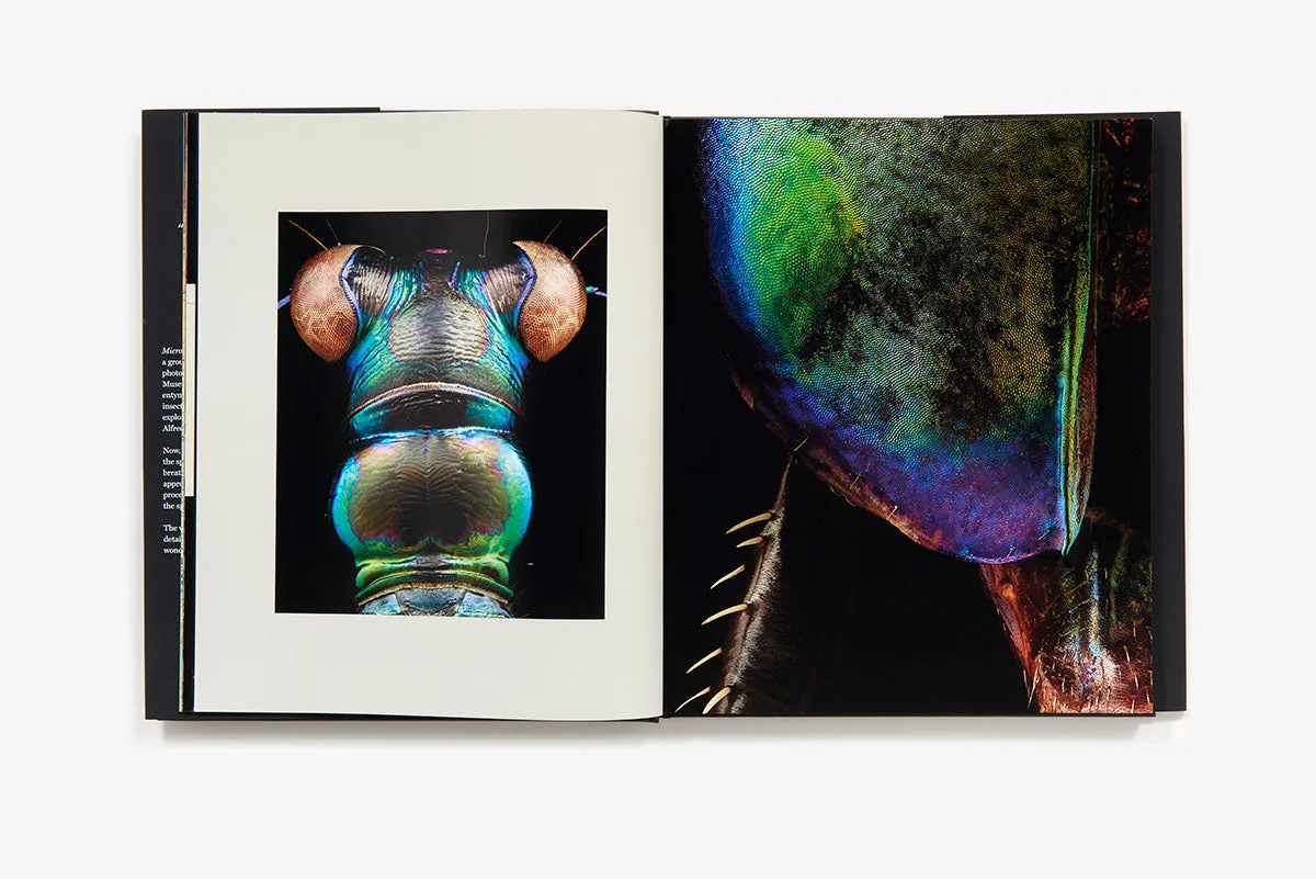 Microsculpture Portraits of Insects bok innbundet fotobok