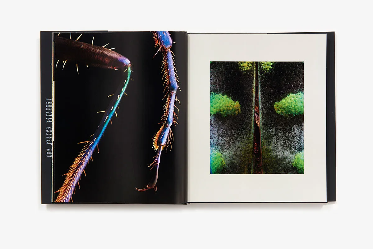 Microsculpture Portraits of Insects bok innbundet fotobok