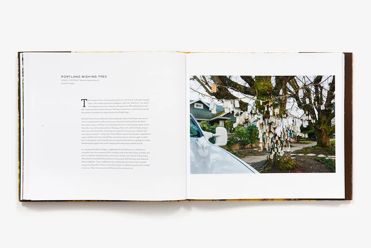 Abrams Wise Trees fotobok innbundet natur