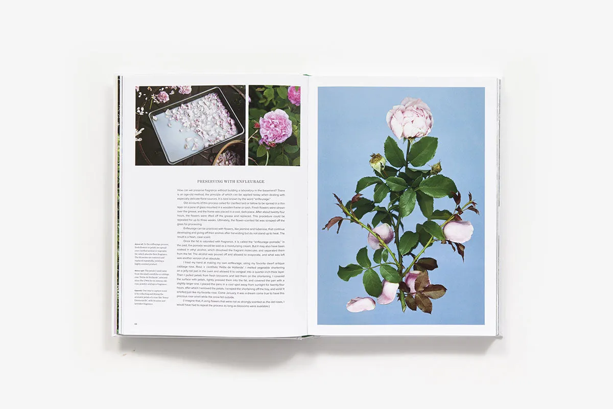 Abrams The Scentual Garden hagebok innbundet