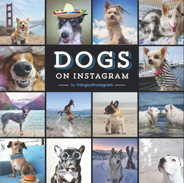 Chronicle Books Dogs On Instagram fotobok innbundet