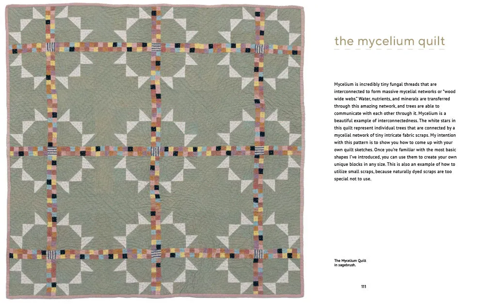 Abrams Farm & Folk Quilt Alchemy bok plantefarging