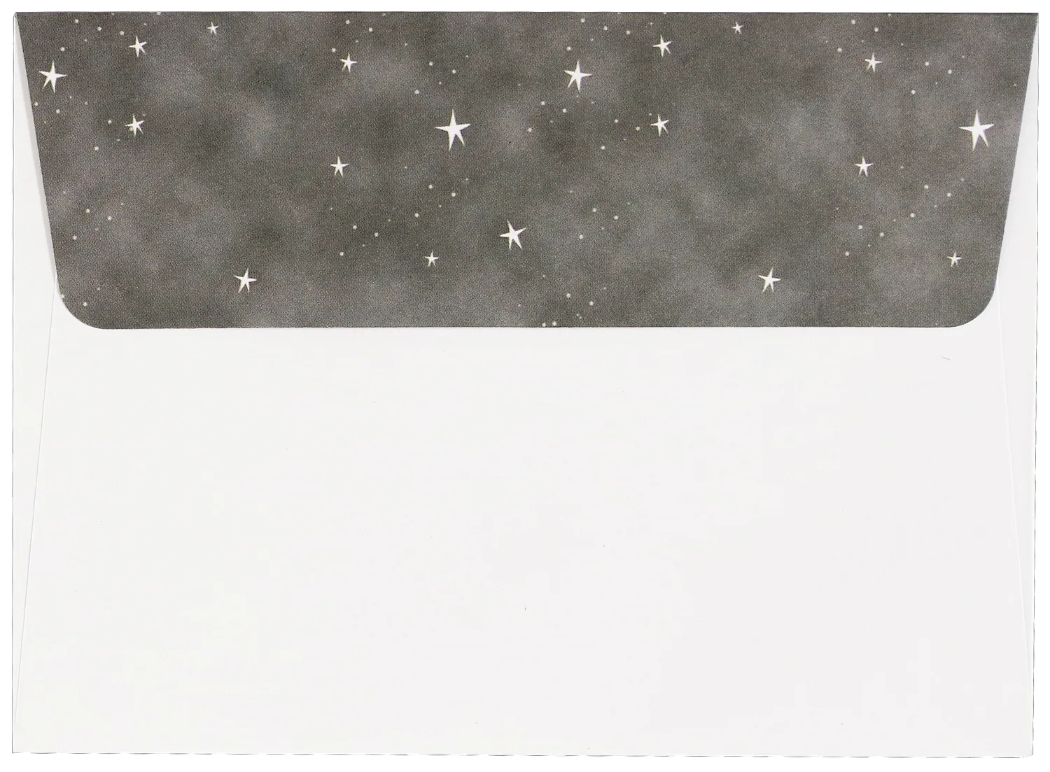 Peter Pauper Press Starry Night Owl julekort 20 stk sølvfolie