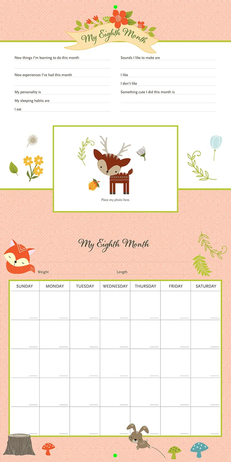 Peter Pauper Press My Life as a Baby kalender veggkalender første år