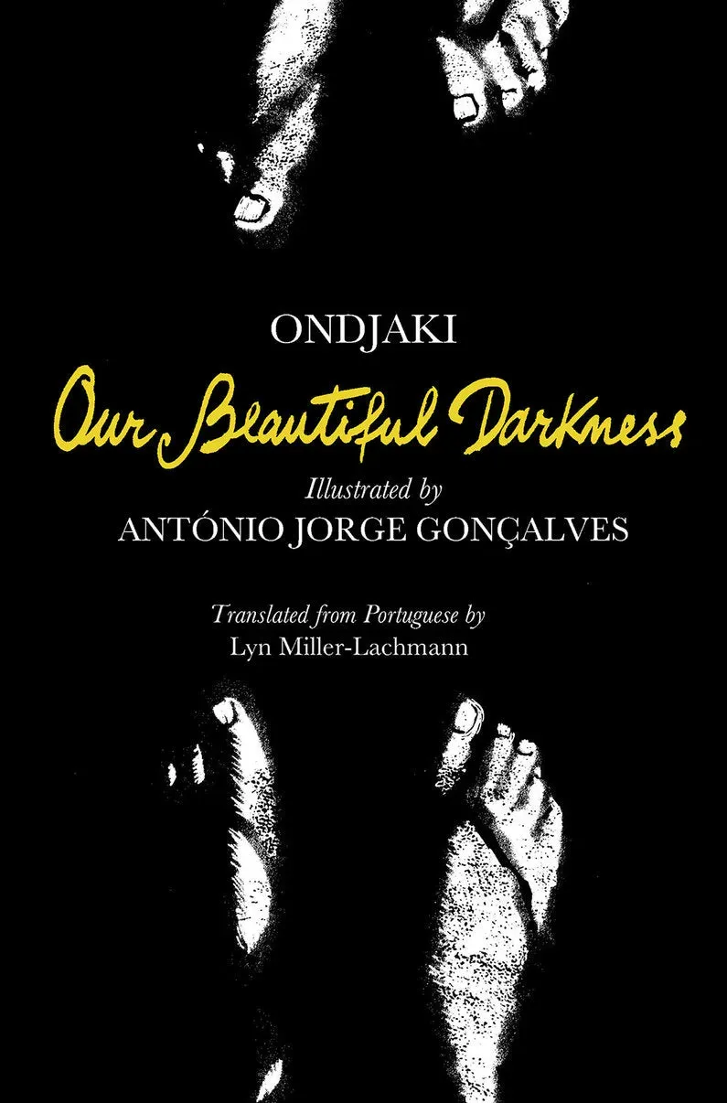 Abrams Our Beautiful Darkness grafisk roman innbundet YA