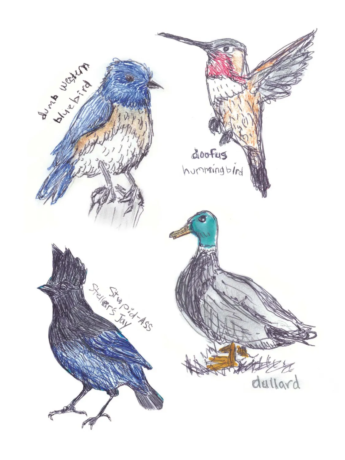 Abrams and Chronicle Field Guide Dumb Birds klistremerkebok 100+