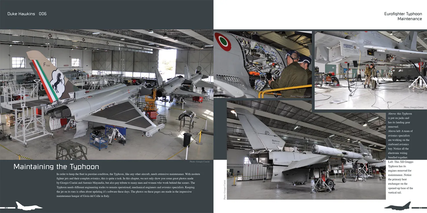 Duke Hawkins Eurofighter Typhoon bok cockpitdetaljer