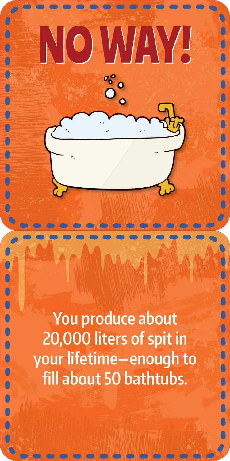 Peter Pauper Press Gross Facts Lunch Box Notes matpakkelapper 60 kort