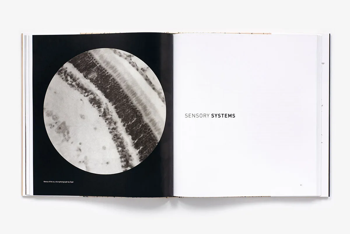 Abrams The Beautiful Brain kunstbok innbundet hjerne