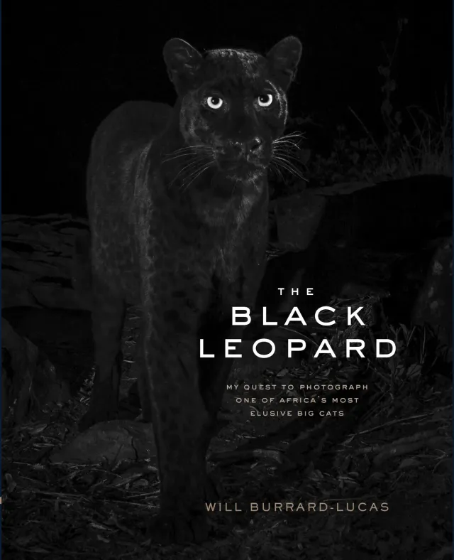 Will Burrard-Lucas The Black Leopard innbundet fotobok