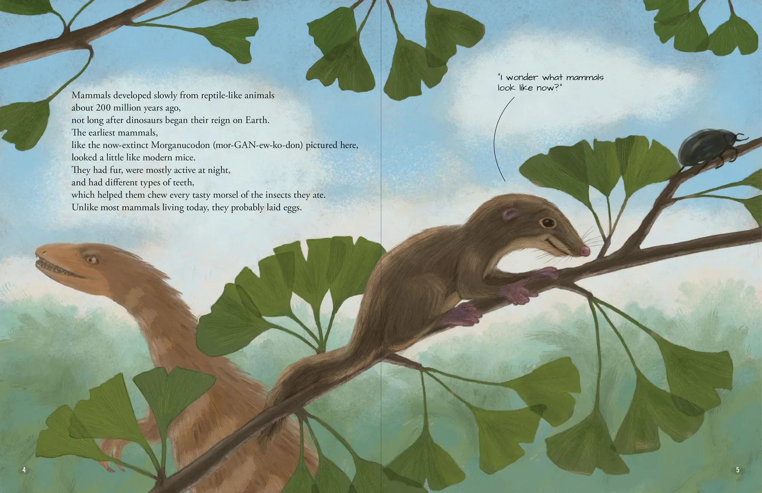 Peter Pauper Press All the Mammals in the World bildebok innbundet