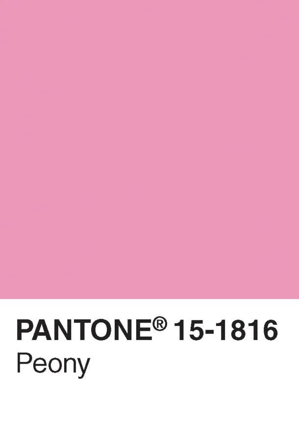 Abrams and Chronicle Pantone Postcard Box postkort 100 stk farger