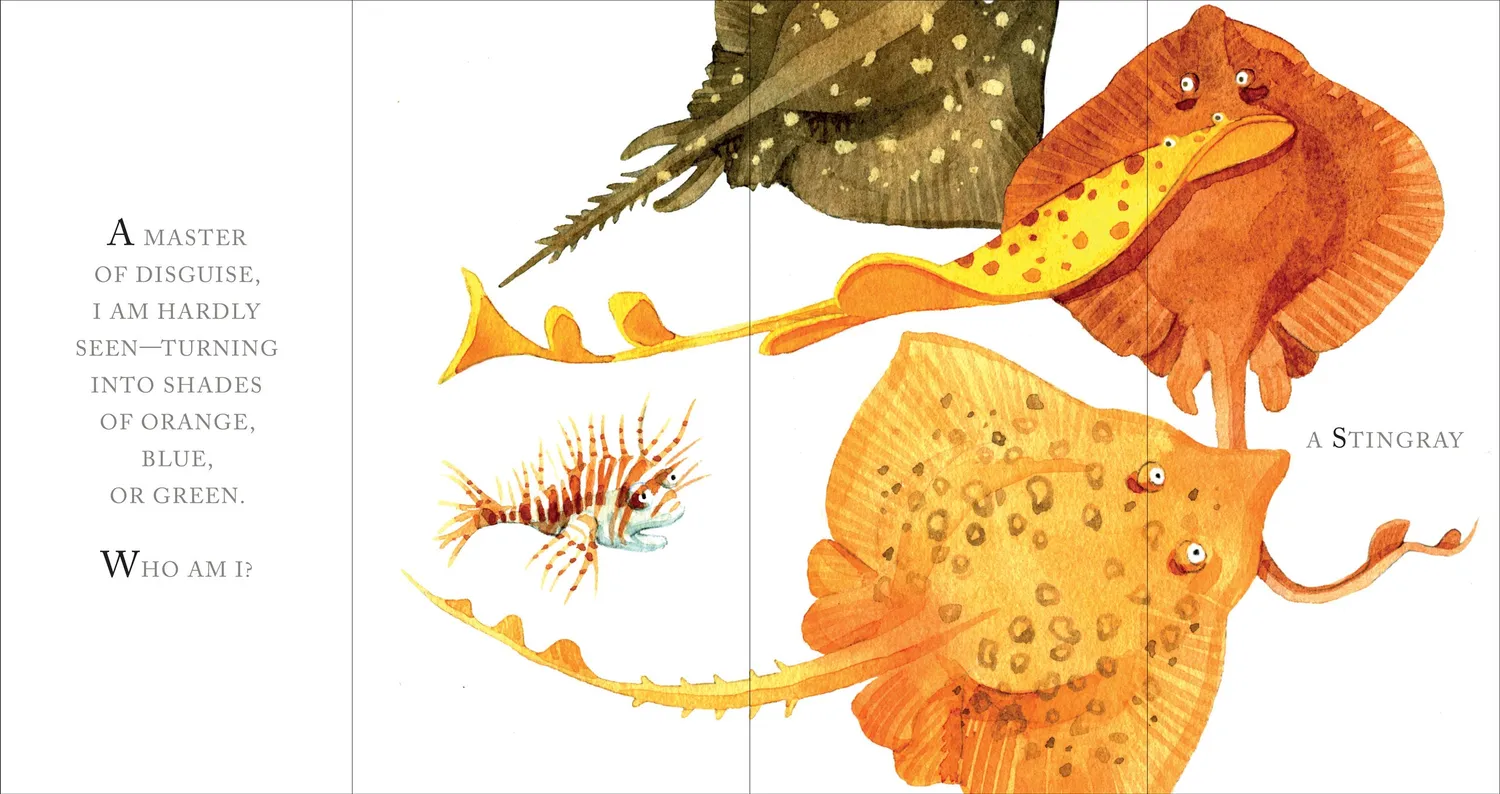 Whose Tail? biletbok innbundet klaffer Agathe Hennig