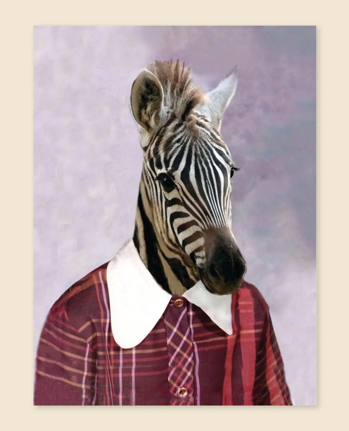 Picture Day Notecards notatkortbok 20 dyreportrett