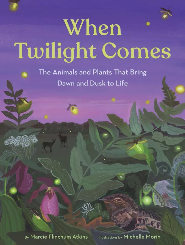 Chronicle Books When Twilight Comes bildebok innbundet 5–8