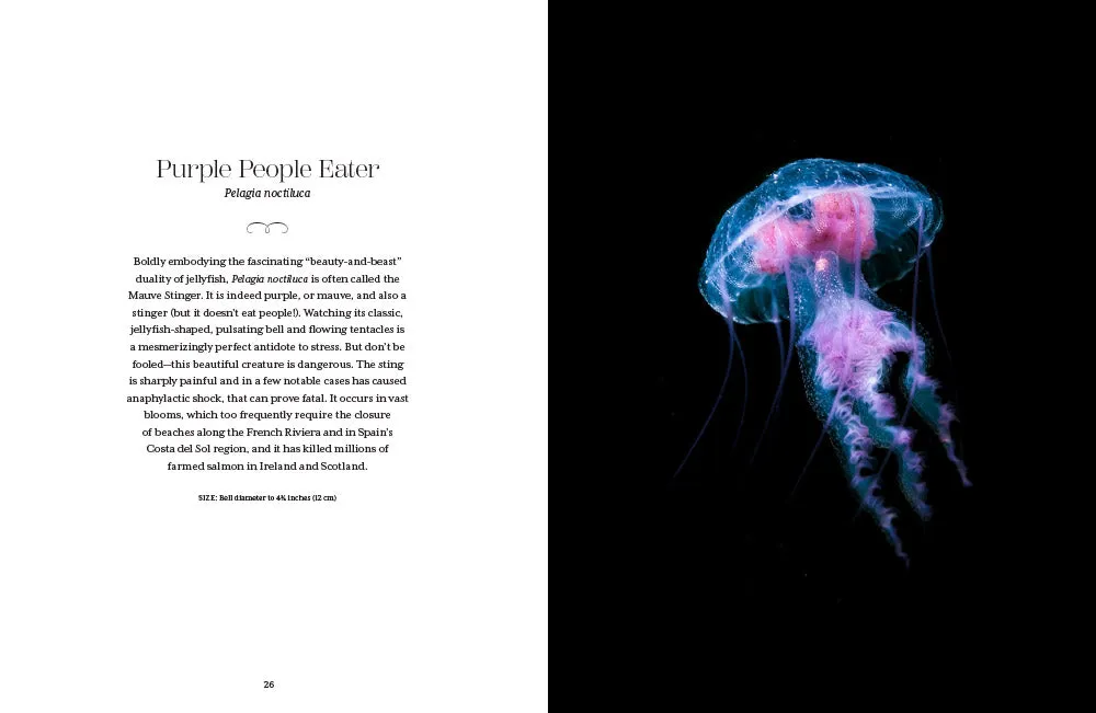 Abrams Shapeshifters The Wondrous World of Jellyfish bok maneter