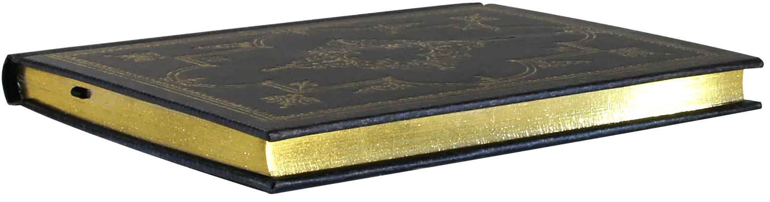 Peter Pauper Press Obsidian notatbok linjert 120 gsm gullsnitt gave