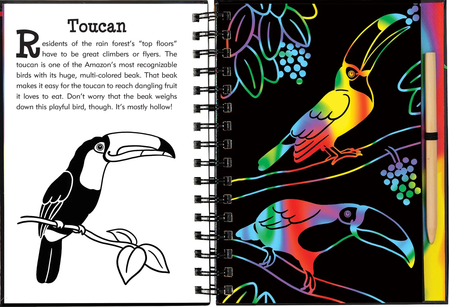 Peter Pauper Press Scratch and Sketch Rain Forest skrapebok