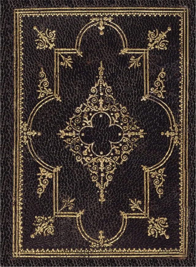 Peter Pauper Press Obsidian notatbok linjert 120 gsm gullsnitt gave