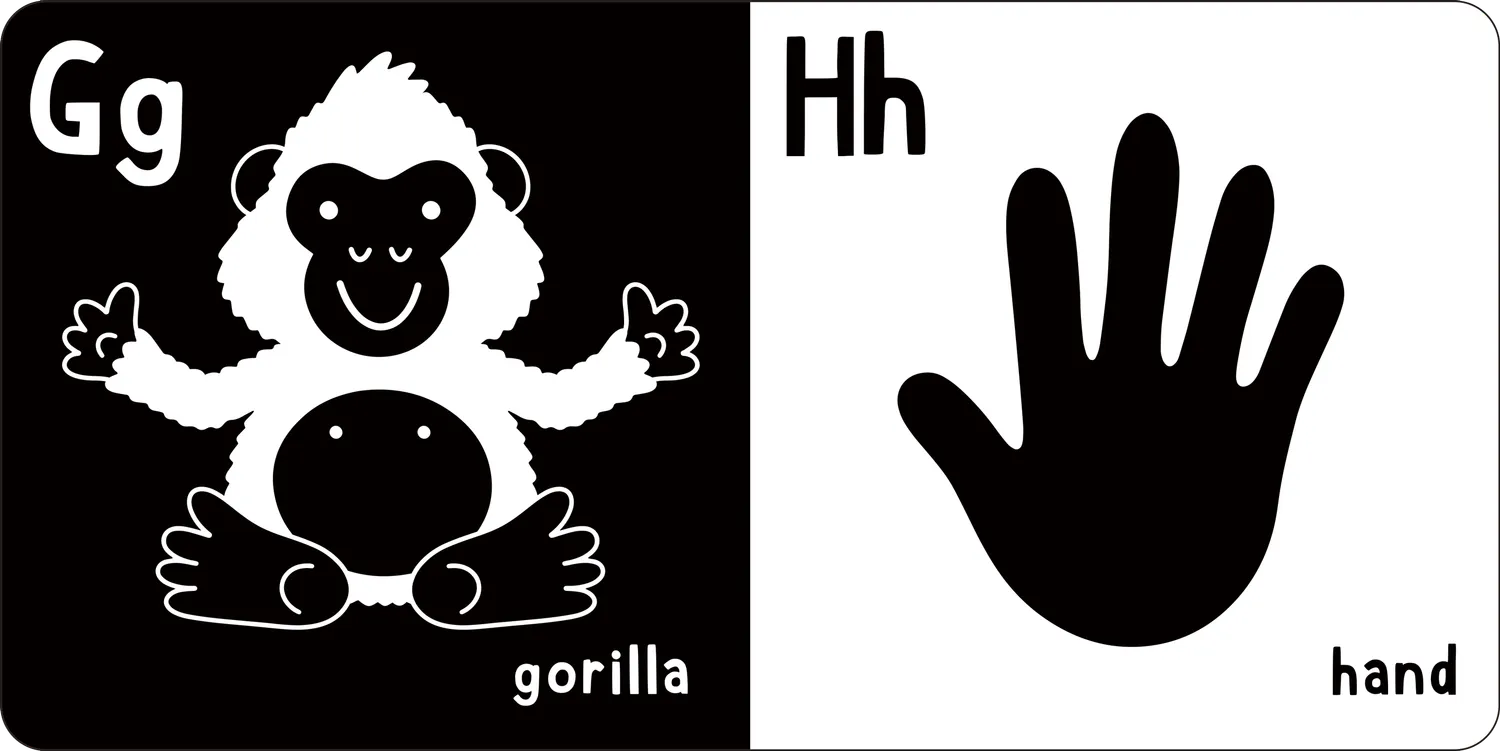 Peter Pauper Press What Does Baby See? ABCs pekebok baby