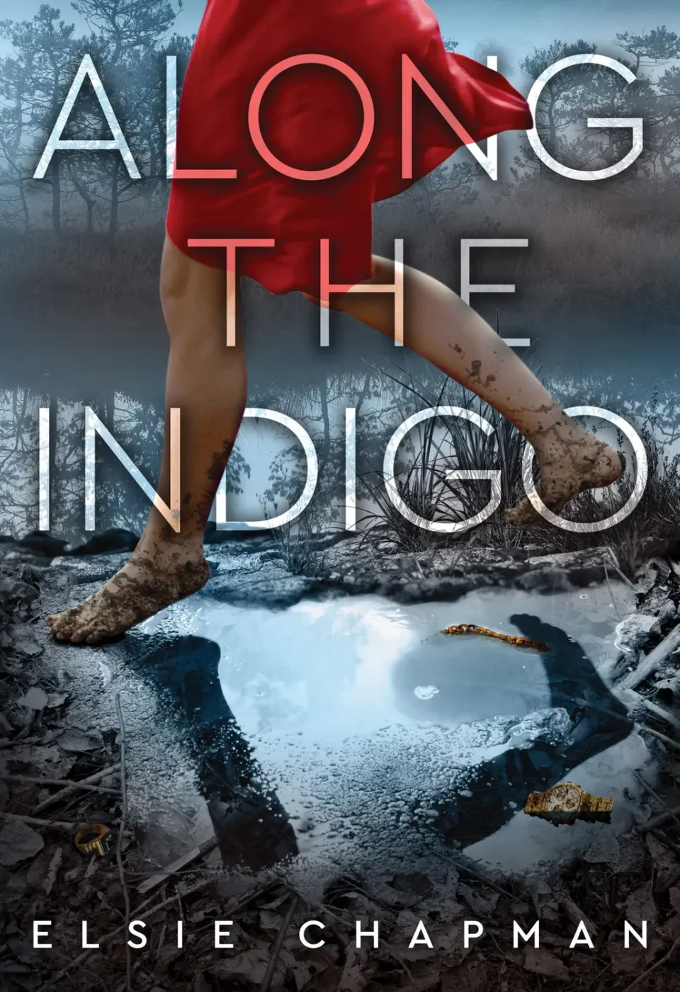 Abrams Amulet Books Along the Indigo innbundet bok ungdom