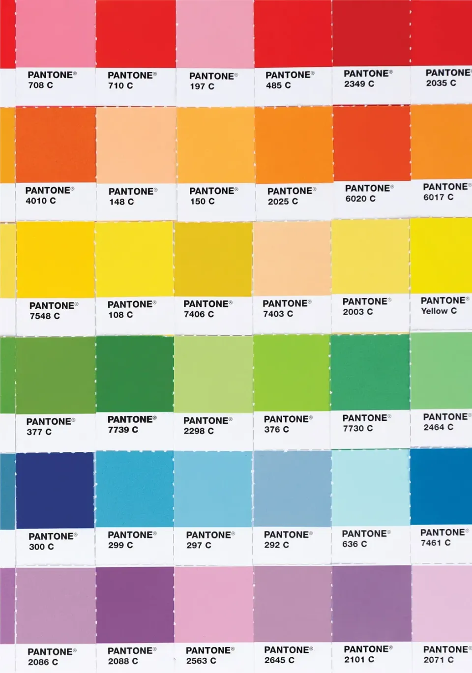 Pantone Color Spectrum notatbok prikkete sider