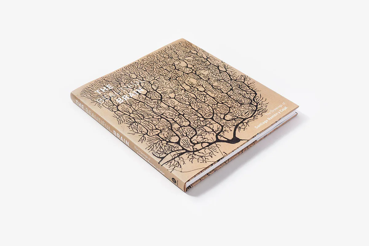 Abrams The Beautiful Brain kunstbok innbundet hjerne