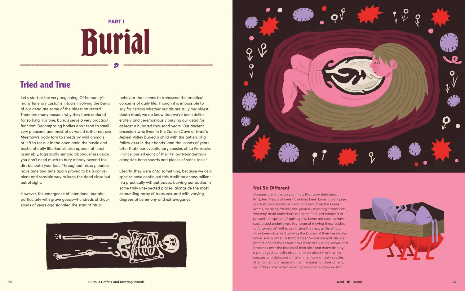 Chronicle Curious Coffins Riveting Rituals bok innbundet