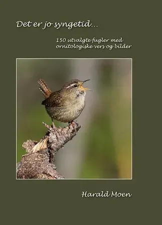Bokia Det er jo syngetid innbundet bok fugledikt